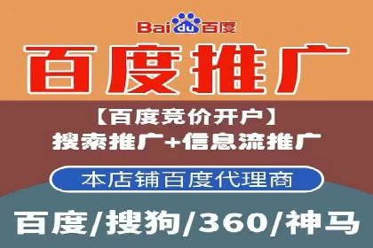 SEM代运营公司案例：优化策略揭秘